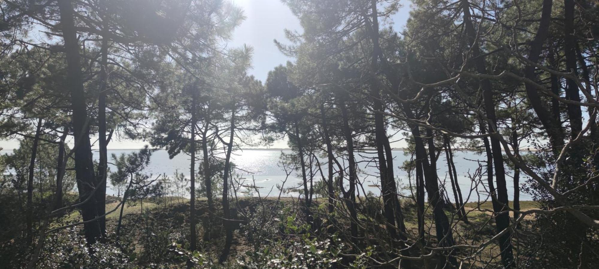 Mobil-Home - Camping Siblu Bonne Anse Plage Les Mathes Εξωτερικό φωτογραφία
